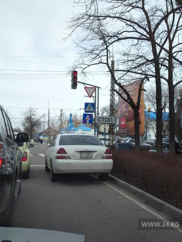 читателя 24-kg.com