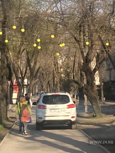 читателя 24-kg.com