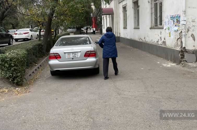 читателя 24-kg.com