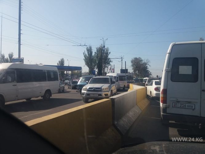 читателя 24-kg.com