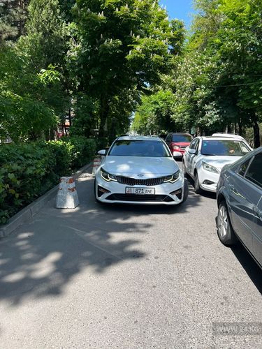 читателя 24-kg.com