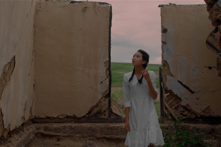 из интернета