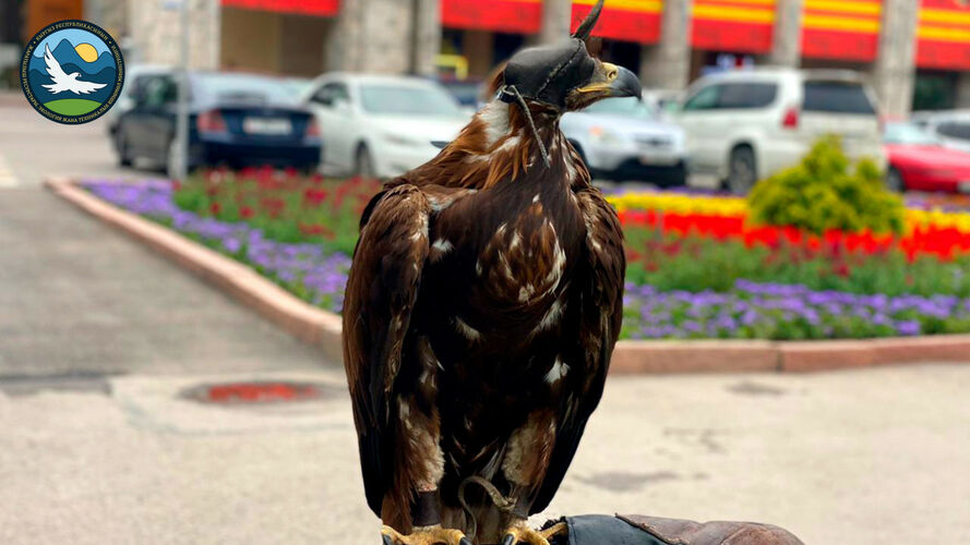 Минприроды