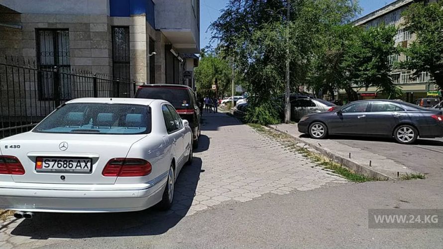 читателя 24-kg.com