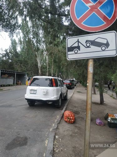 читателя 24-kg.com