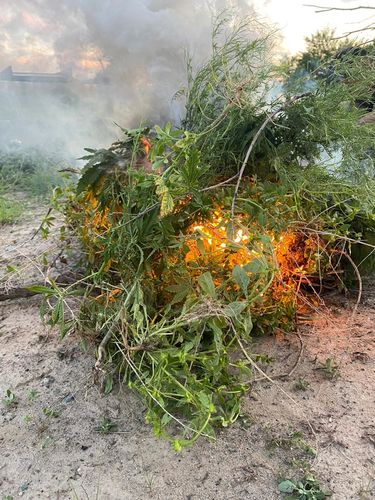 Службы по борьбе с незаконным оборотом наркотиков