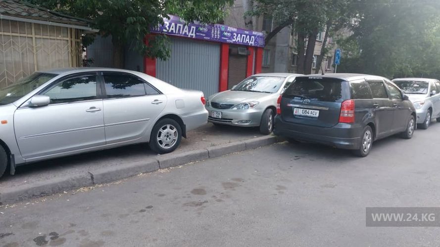 читателя 24-kg.com