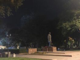 В&nbsp;Бишкеке торговца оштрафовали за&nbsp;порчу газона после жалобы горожанина 