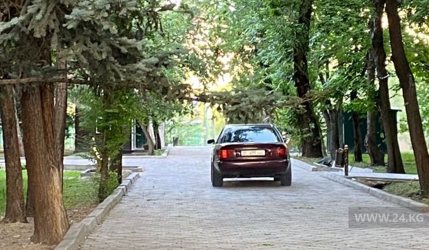 читателя 24-kg.com