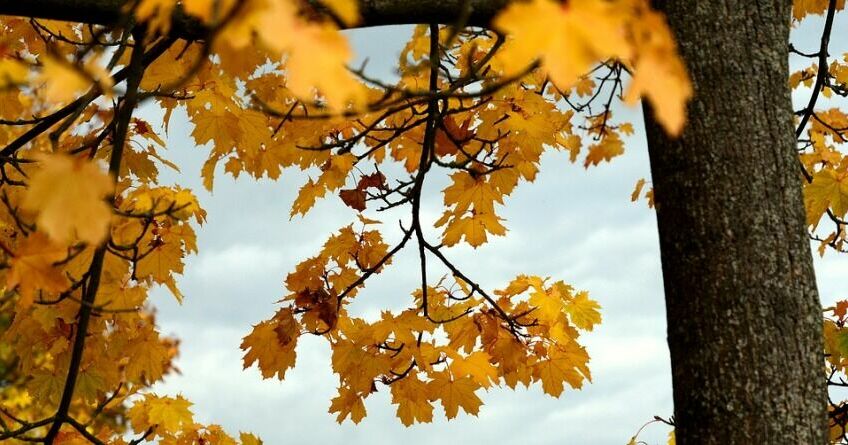 Будет&nbsp;ли дождь в&nbsp;Бишкеке на&nbsp;выходных. Прогноз погоды на&nbsp;30&nbsp;октября&nbsp;&mdash; 2&nbsp;ноября 