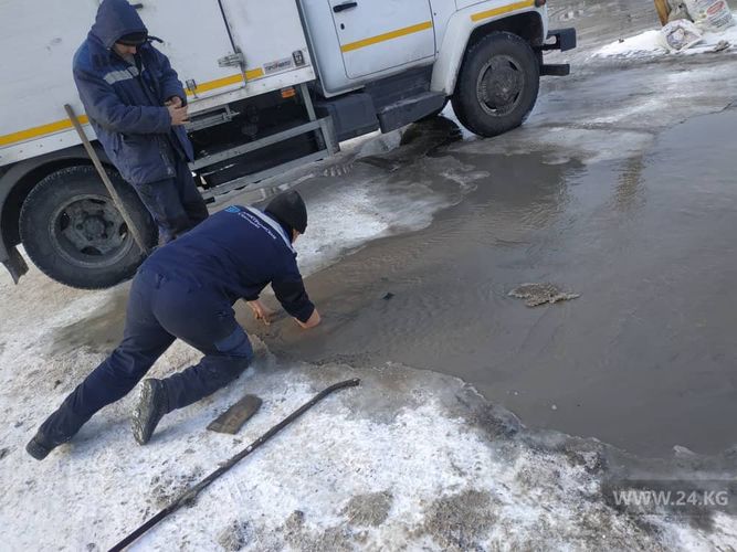 читателя 24-kg.com