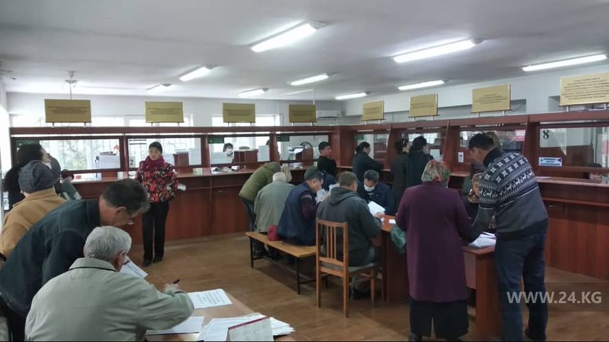 читателя 24-kg.com