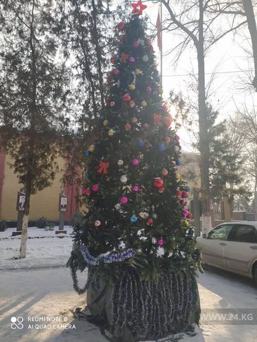 мэрии города Шопоков