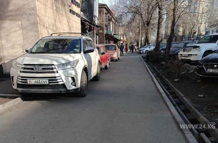 читателя 24-kg.com