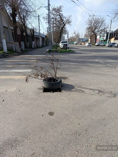 читателя 24-kg.com