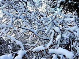 Snow expected in Bishkek: Weather forecast for January 15–18