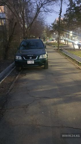 читателя 24-kg.com