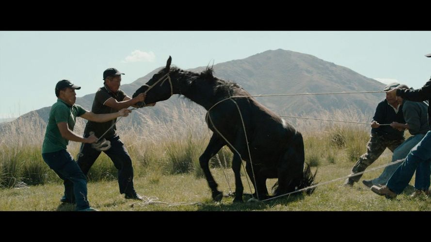 из интернета