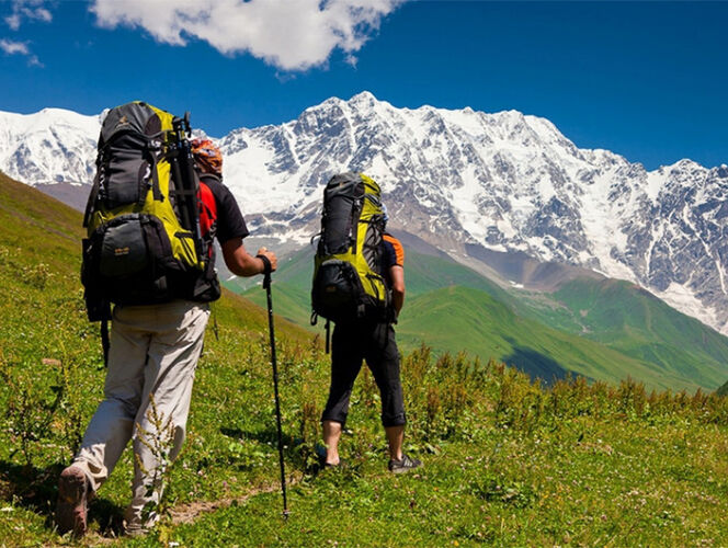 из интернета