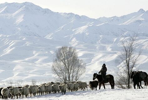 Кыргызстанда жамгыр жана кар жаайт.&nbsp;&minus;23&nbsp;градуска чейин суук күтүлөт 