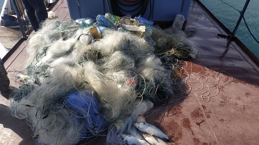 полпредства Иссык-Кульской области