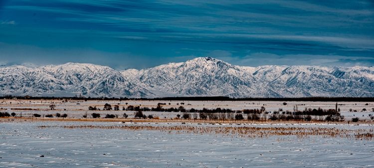 Владислава Ногая