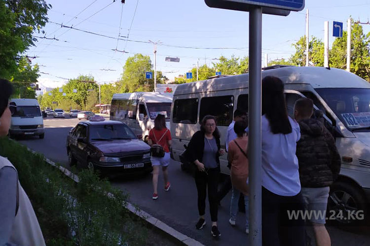 читателя. Чудаки парковки