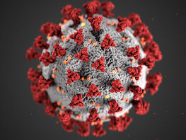 COVID-19: Sharp rise in coronavirus cases reported in Germany