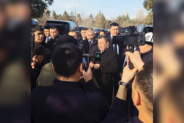 из интернета