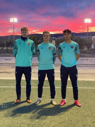 из интернета