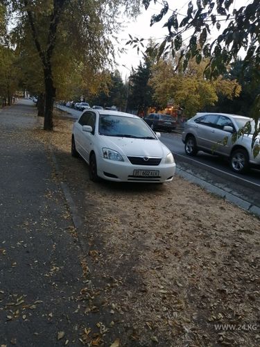 читателя 24-kg.com