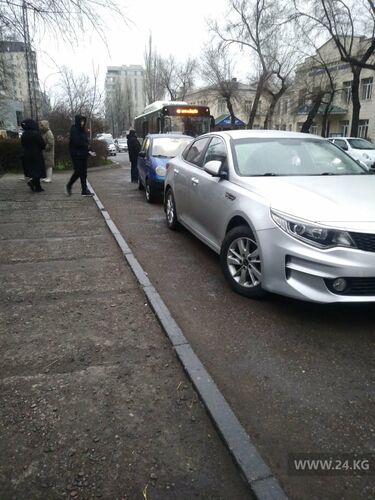 читателя 24-kg.com