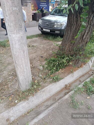 читателя 24-kg.com