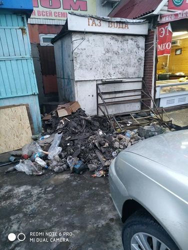 читательницы 24-kg.com