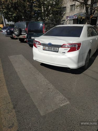 читателя 24-kg.com