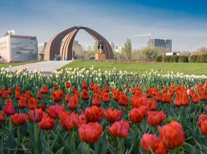 Владислава Ногая