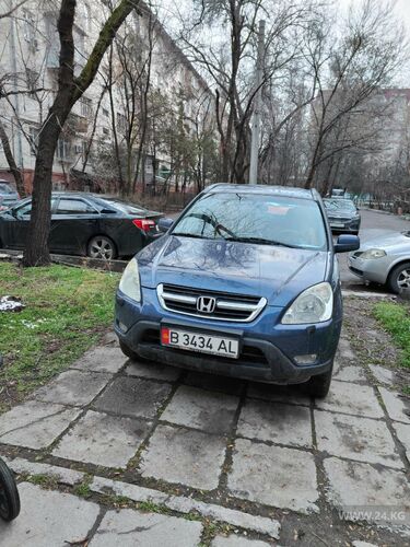 читателя 24-kg.com