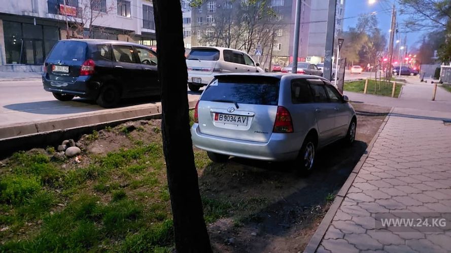 читателя 24-kg.com