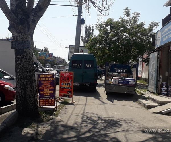 читателя 24-kg.com