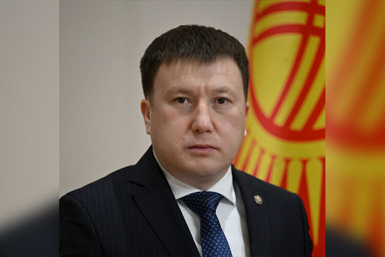 из интернета