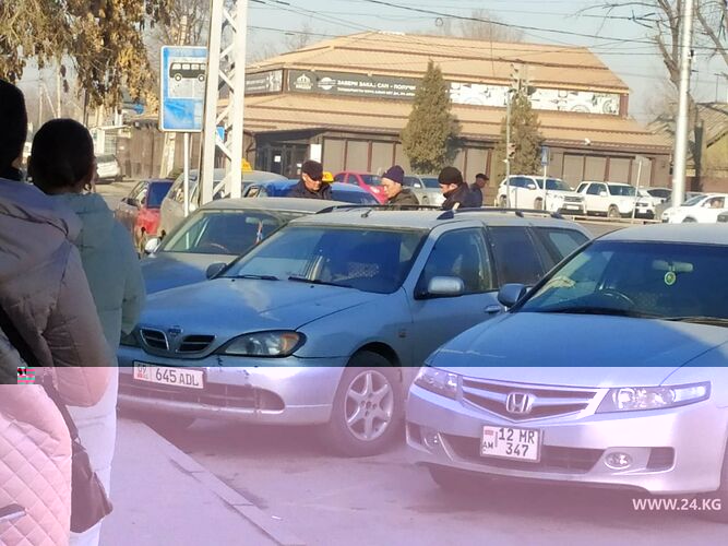 читателя 24-kg.com