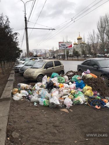 читателя 24-kg.com