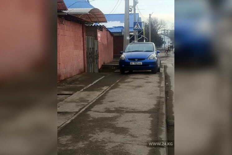 читателя 24-kg.com