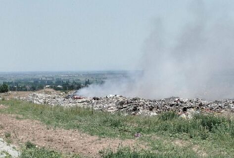 Жители села Александровка Чуйской области требуют закрыть мусорный полигон 