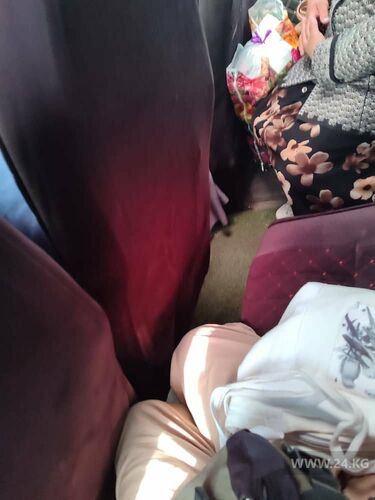 читателя 24-kg.com