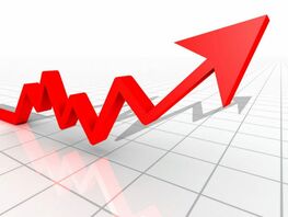 Service sector shows growth since beginning of year in Kyrgyzstan