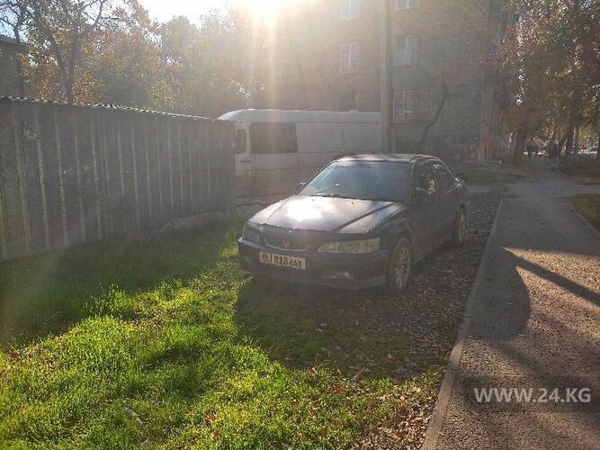 читателя 24-kg.com