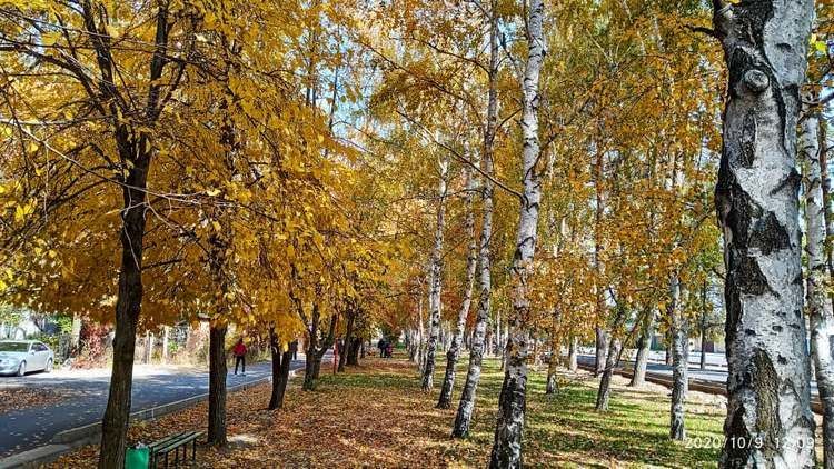 Николая Манаковского