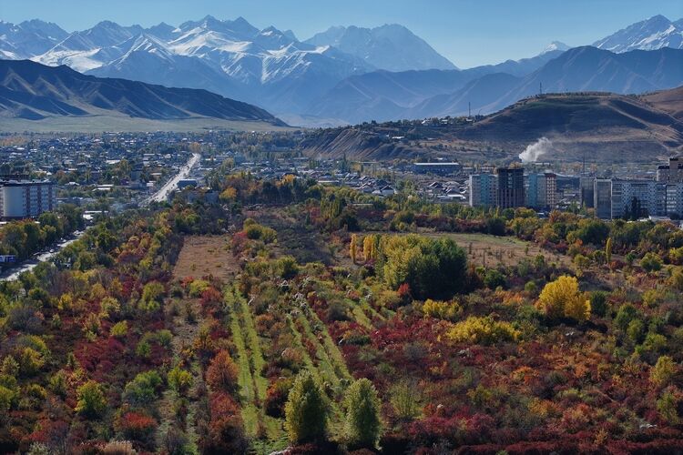 из интернета