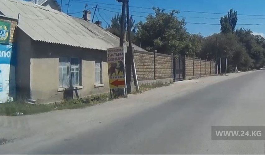 читателя 24-kg.com